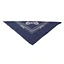 Bandana, Motion Pro