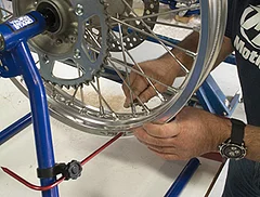Featured Product: Axis Truing-Balance Stand