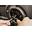 Clutch Adjuster Nut Tool for HD